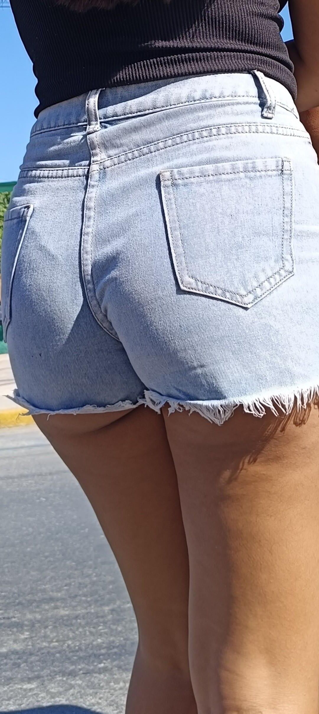 Candid Pawgs Shorts