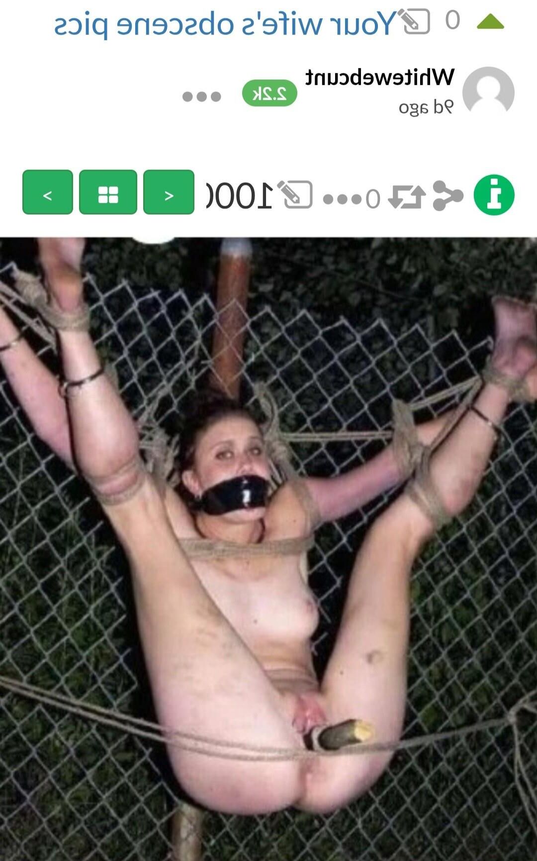 Bondage/Cunts/Comment's!