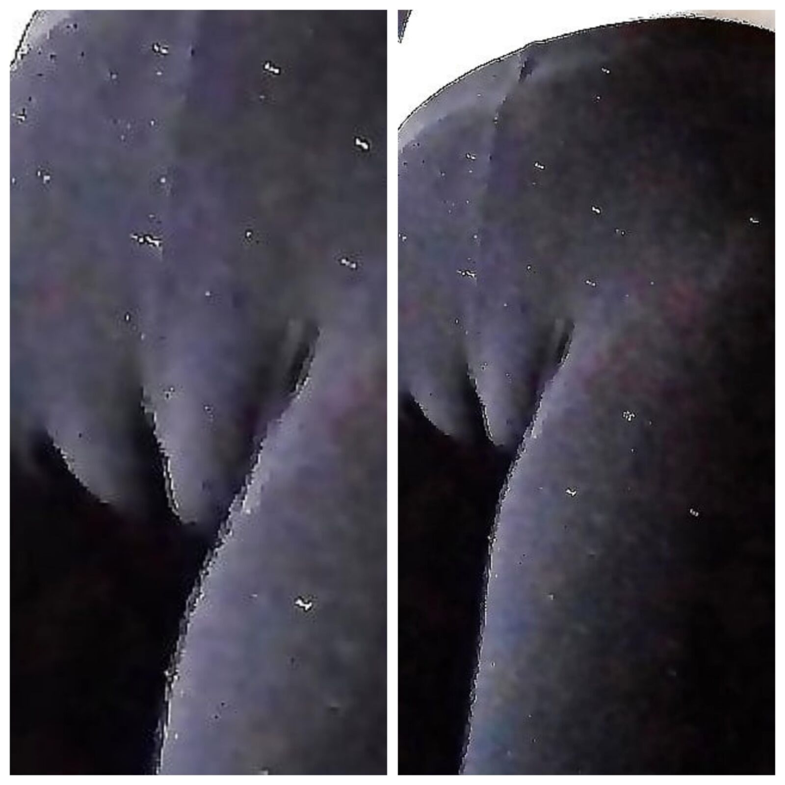 Regular and closeups of wifes cameltoe and crouch Stitched