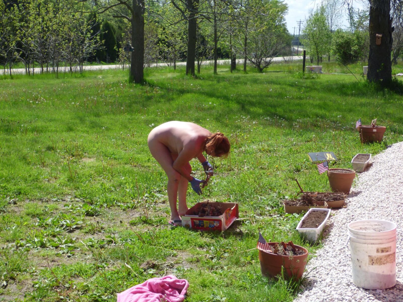 Nackte Gartenarbeit: Hinterhofnacklichkeit während der Landwirtschaft und Pflanzung