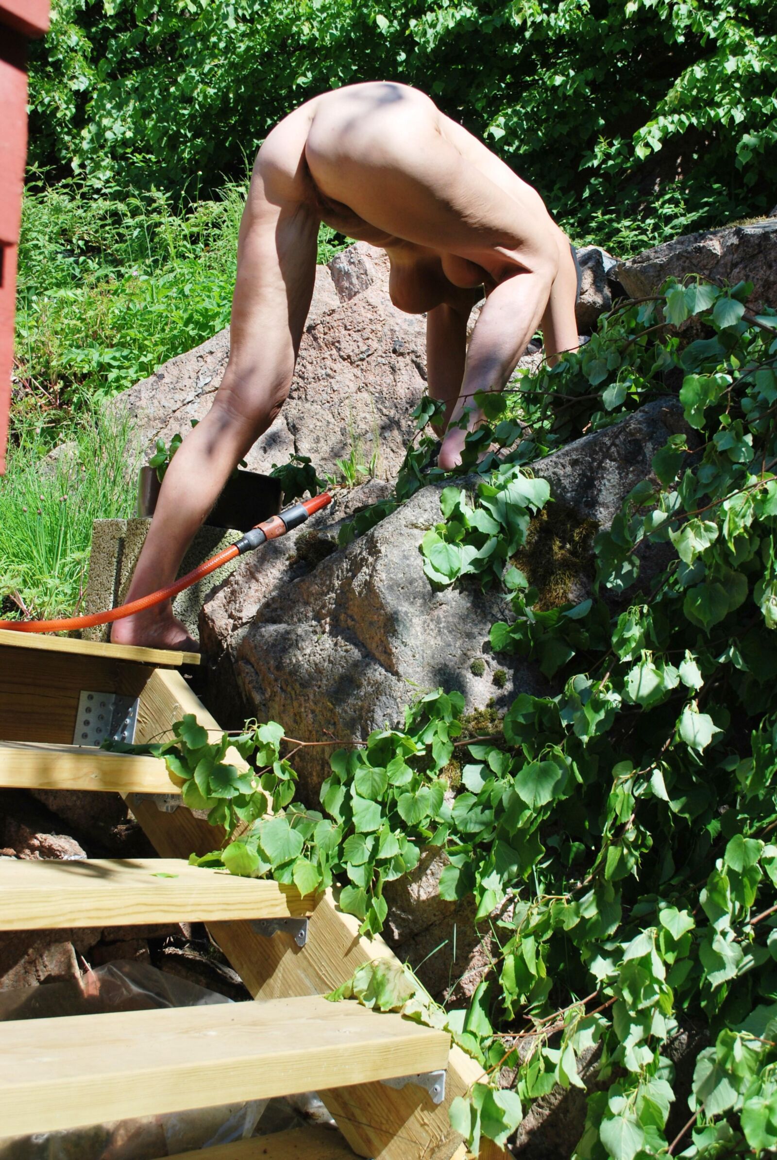 Jardinería desnuda: desnudez del patio trasero mientras se agrupa y planta