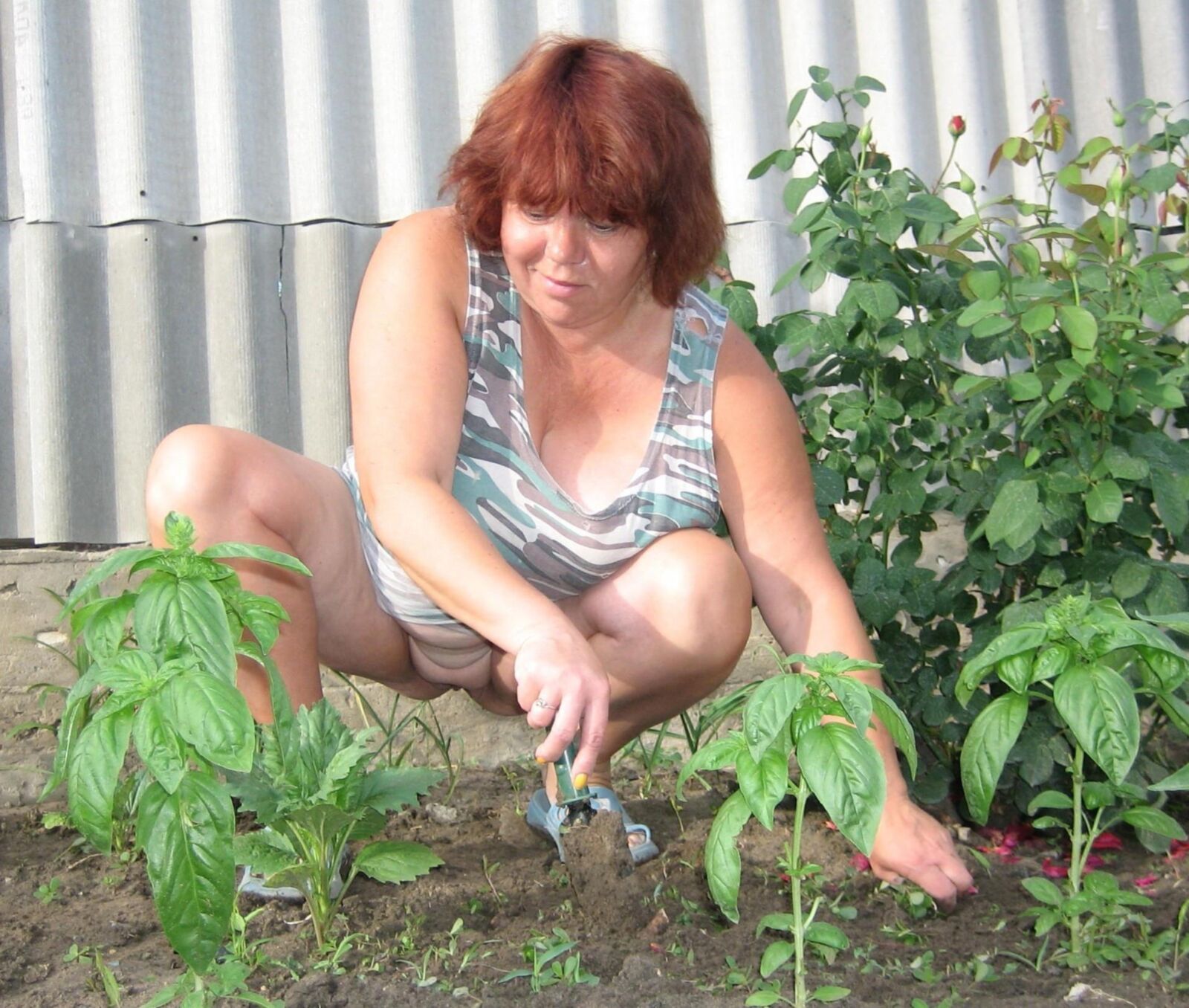 Jardinería desnuda: desnudez del patio trasero mientras se agrupa y planta