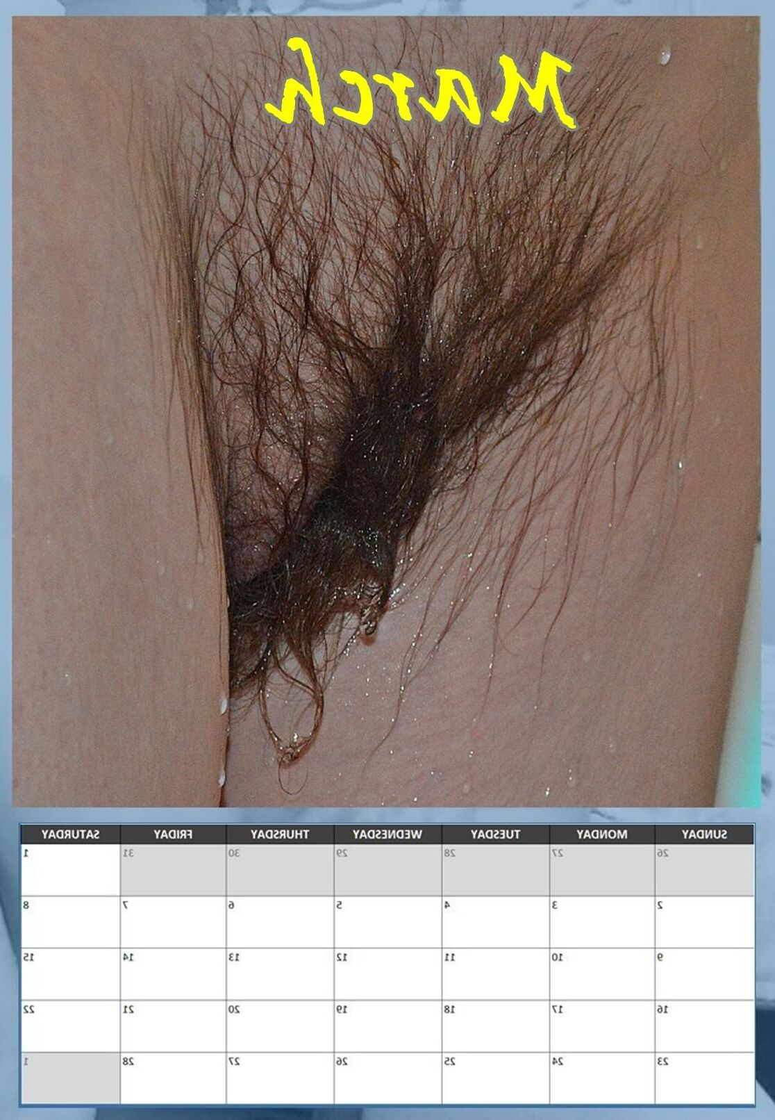 Susanne's hairy pussy calendar 