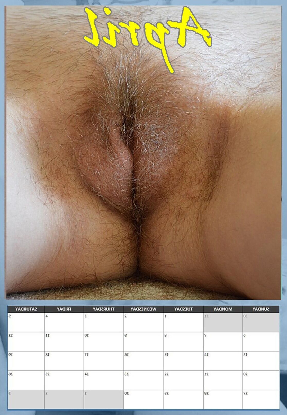 Susanne's hairy pussy calendar 