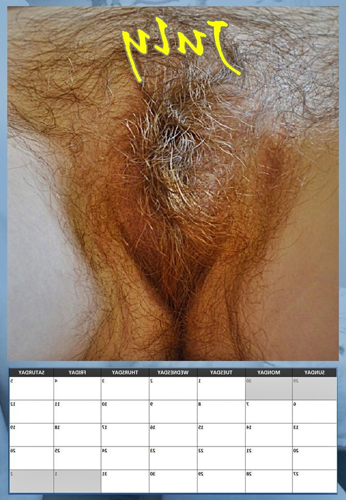 Susanne's hairy pussy calendar 