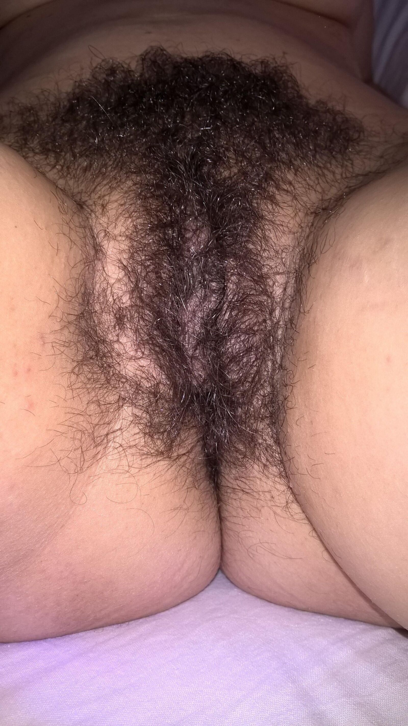 Pubes de joytwosex