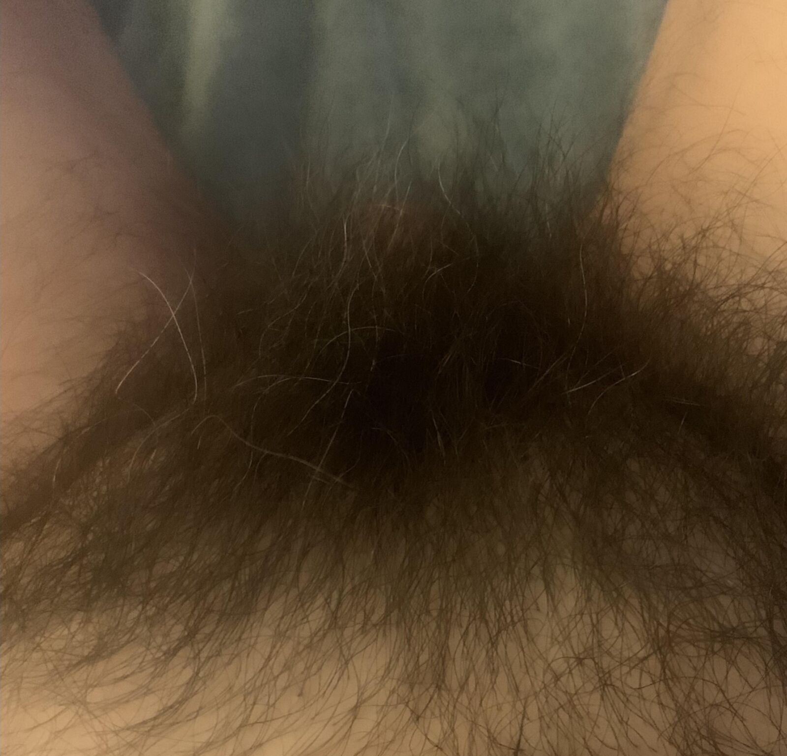 Neighbors fat old hairy pussy selfie