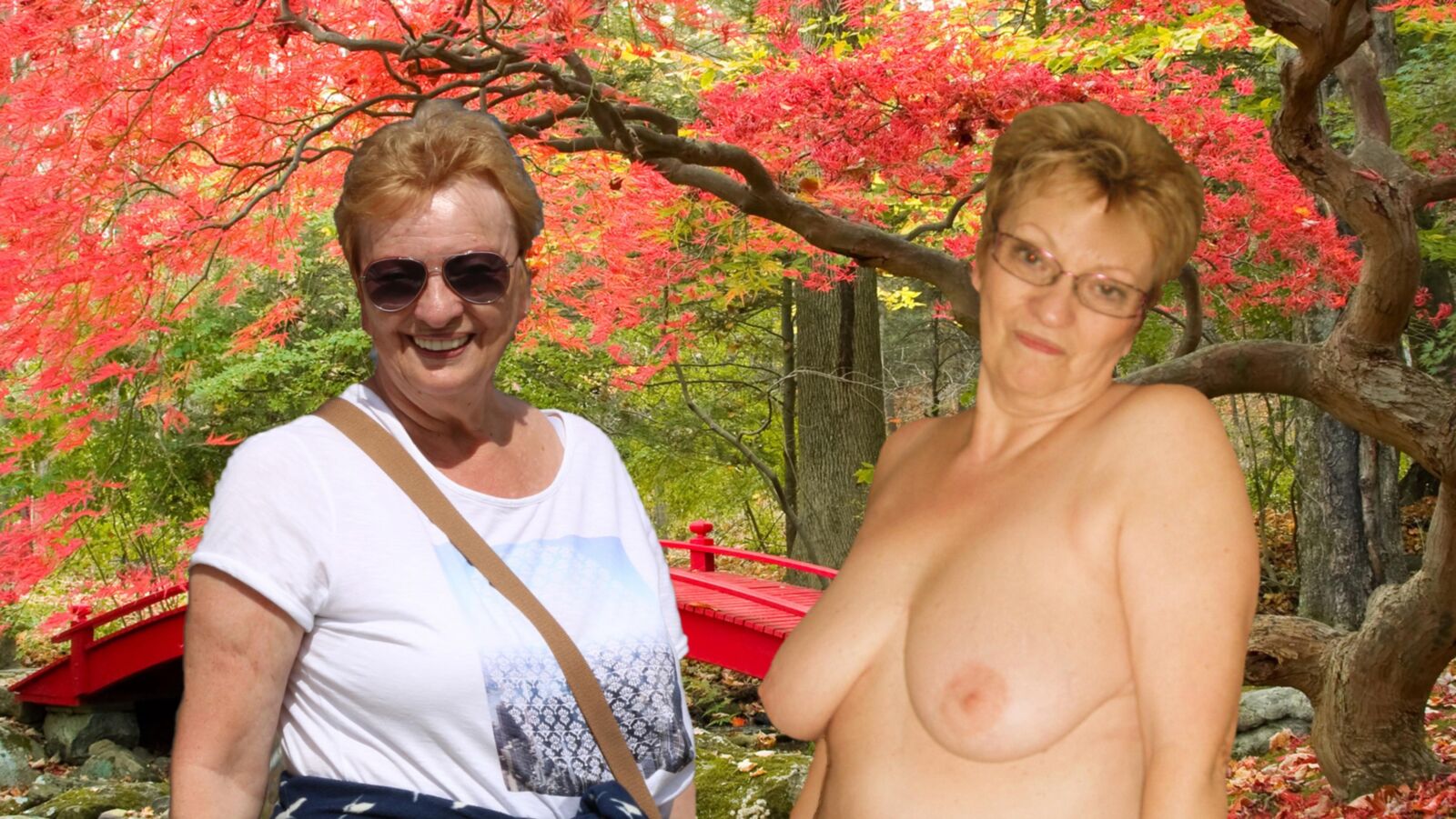 My Lady with and without a Bra