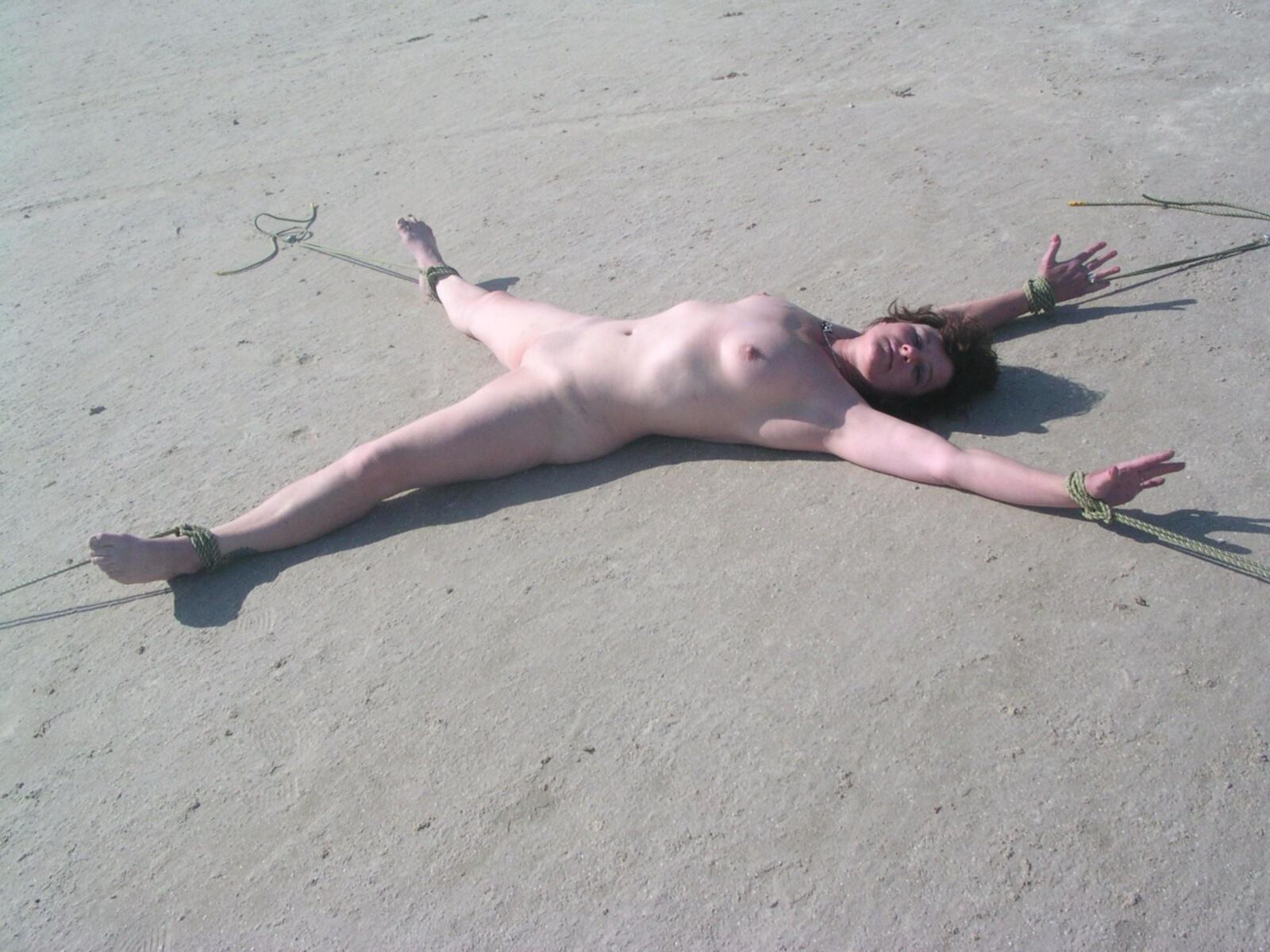Wank Material para discutir
