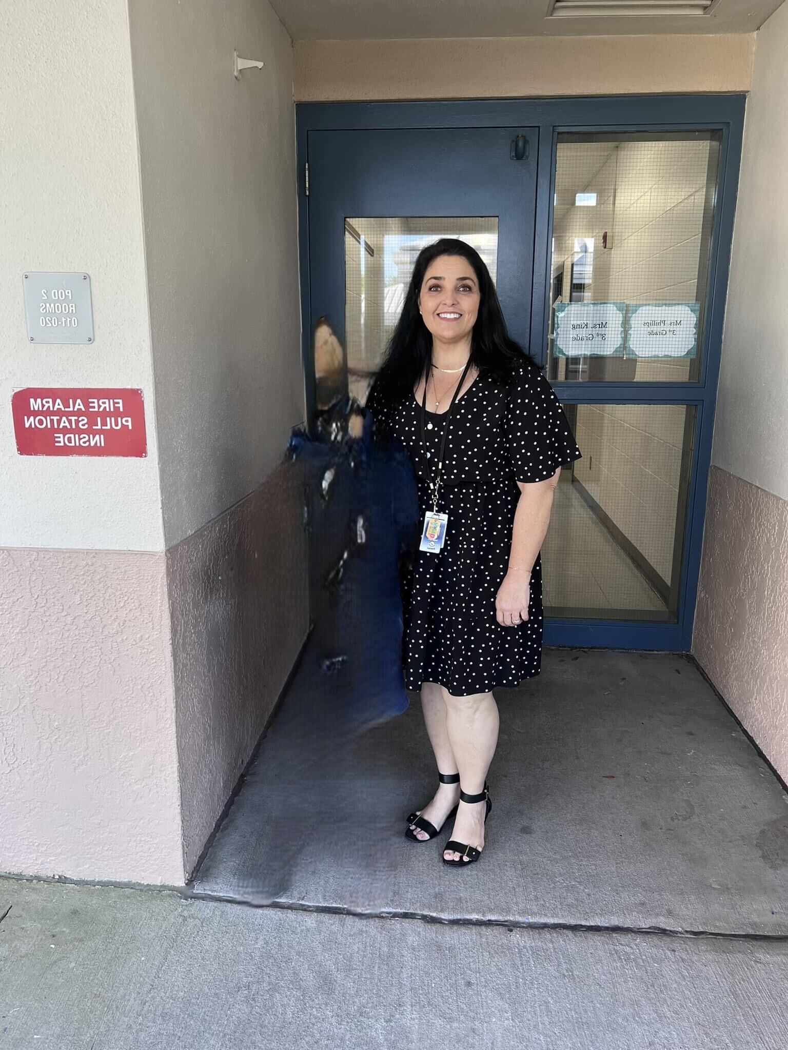 Hot PTA Moms and Teachers