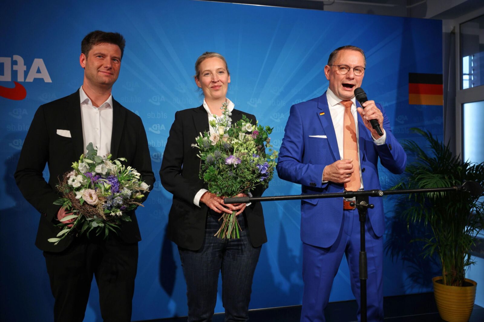 Braune Fotzen