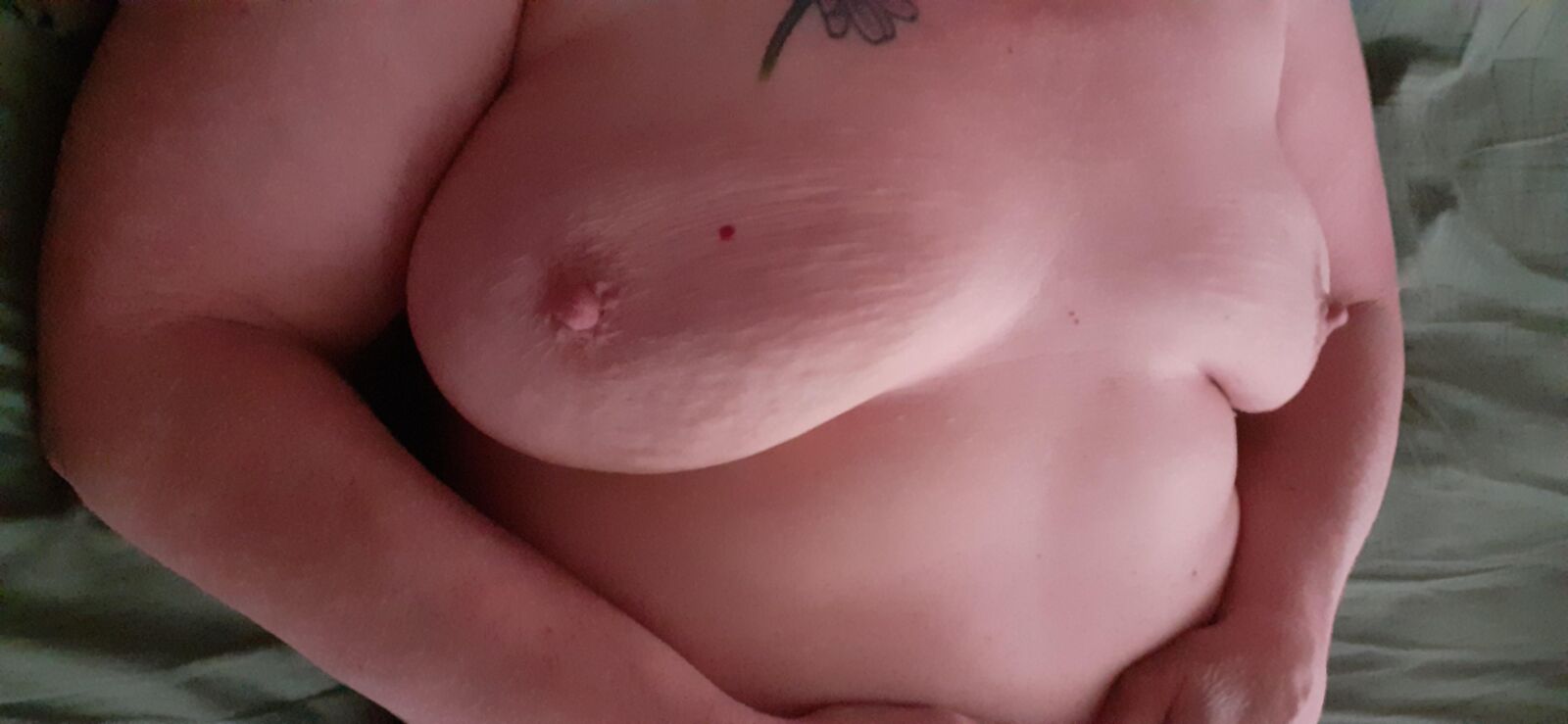 Tits look amazing when laying 