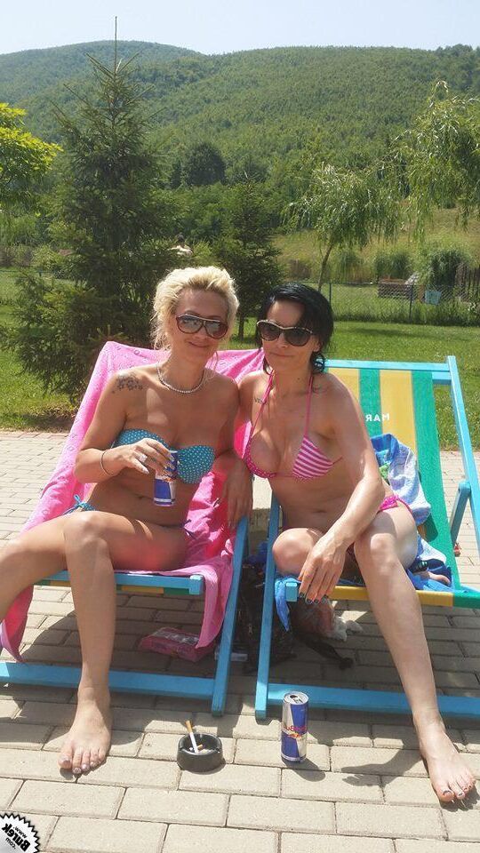 GREAT TITS