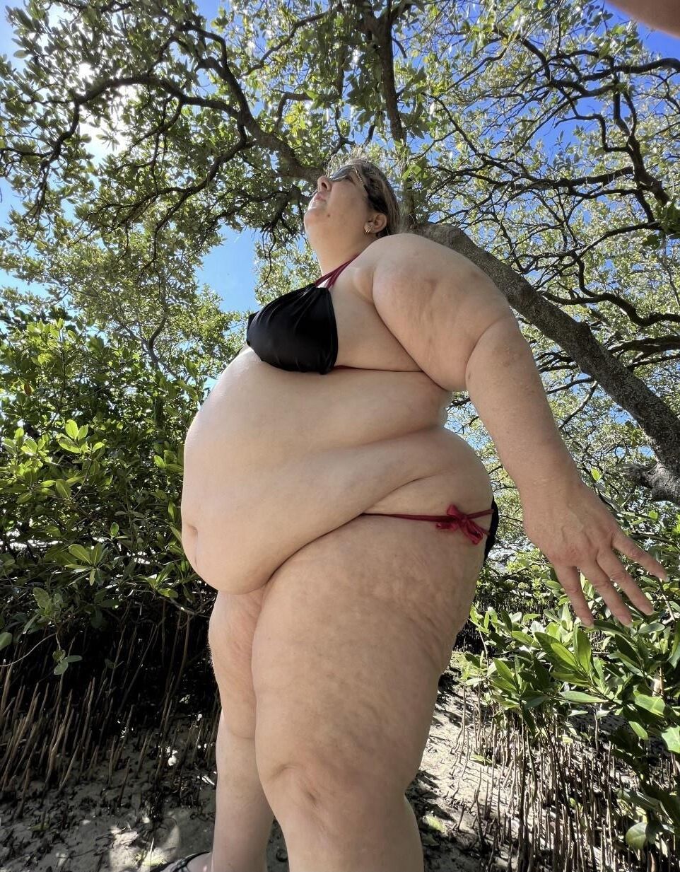 BBW bathing suits 