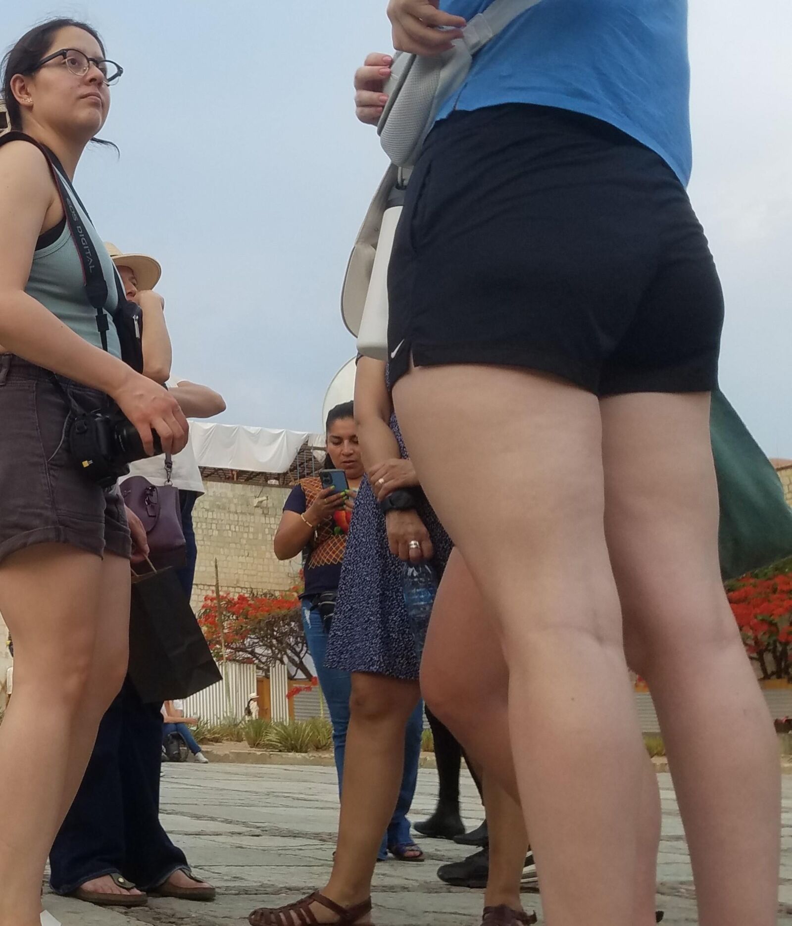 Candid Pawgs Shorts