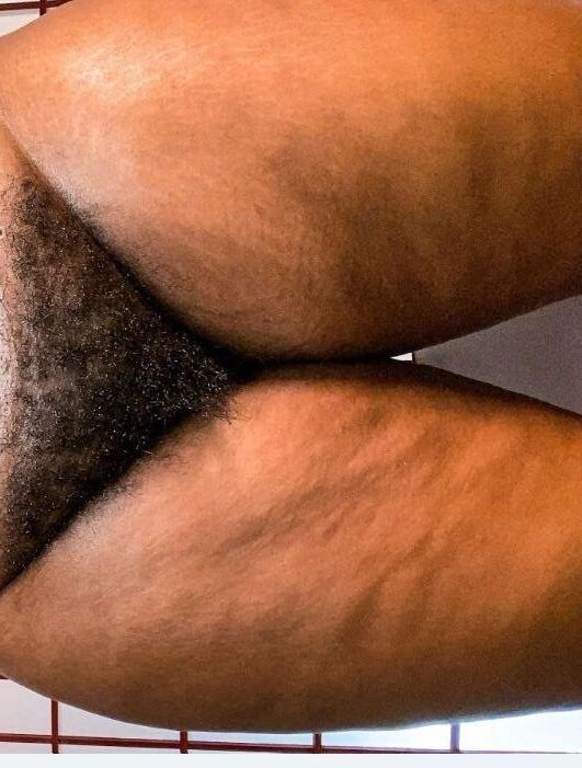 Pusado peludo Ebony grueso