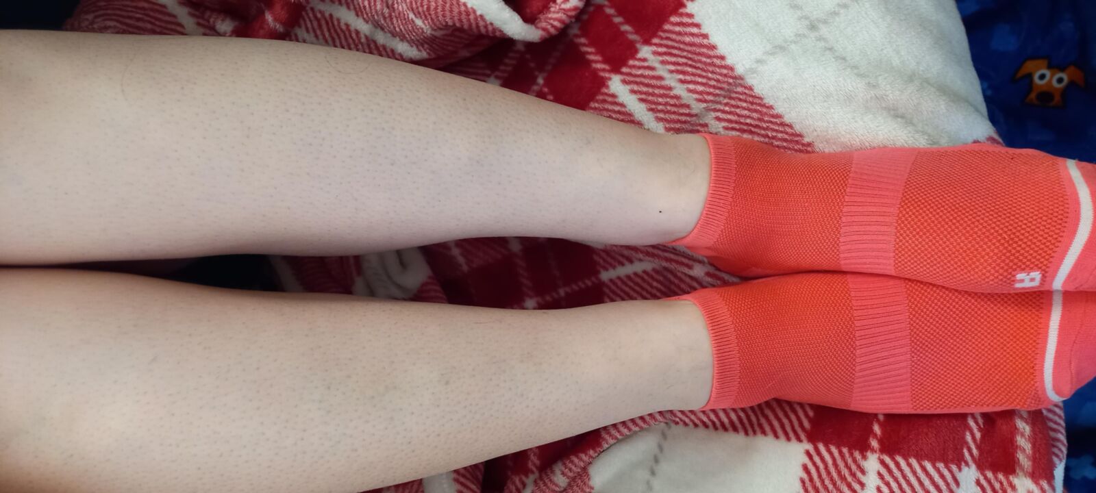 Calcetines de esposa del Reino Unido