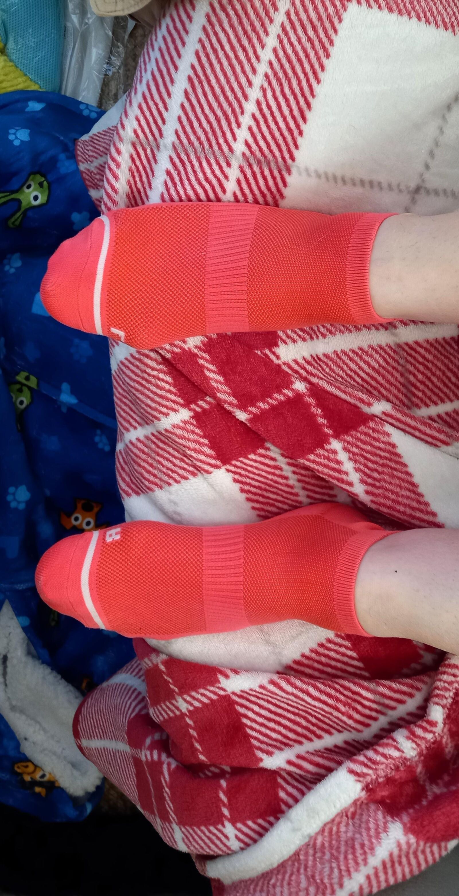 Calcetines de esposa del Reino Unido