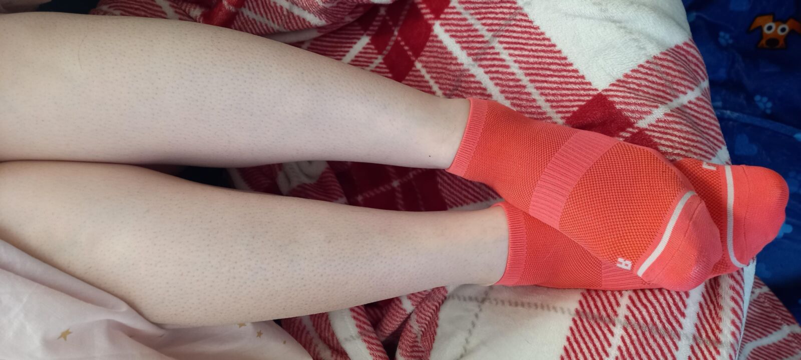 Calcetines de esposa del Reino Unido