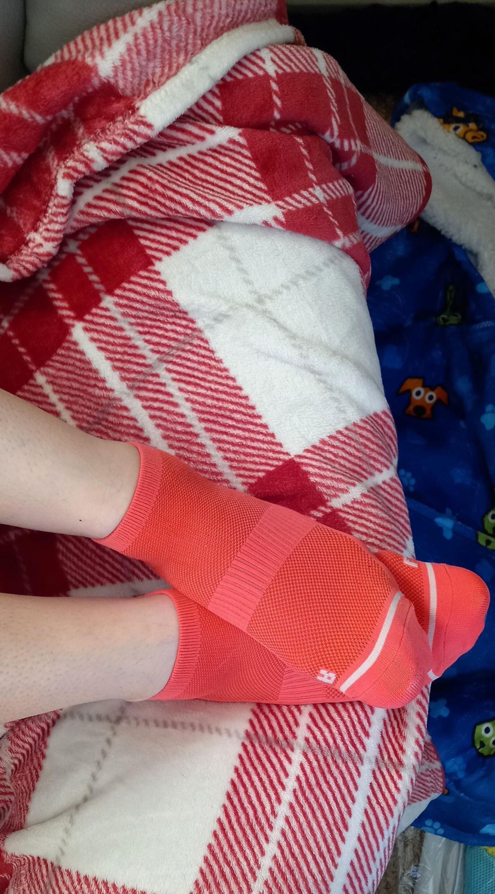 Calcetines de esposa del Reino Unido