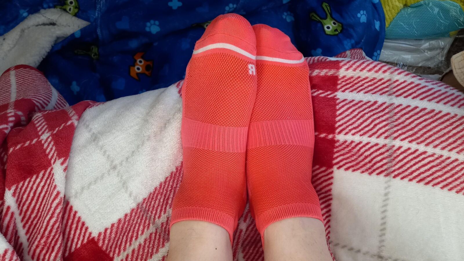 Calcetines de esposa del Reino Unido