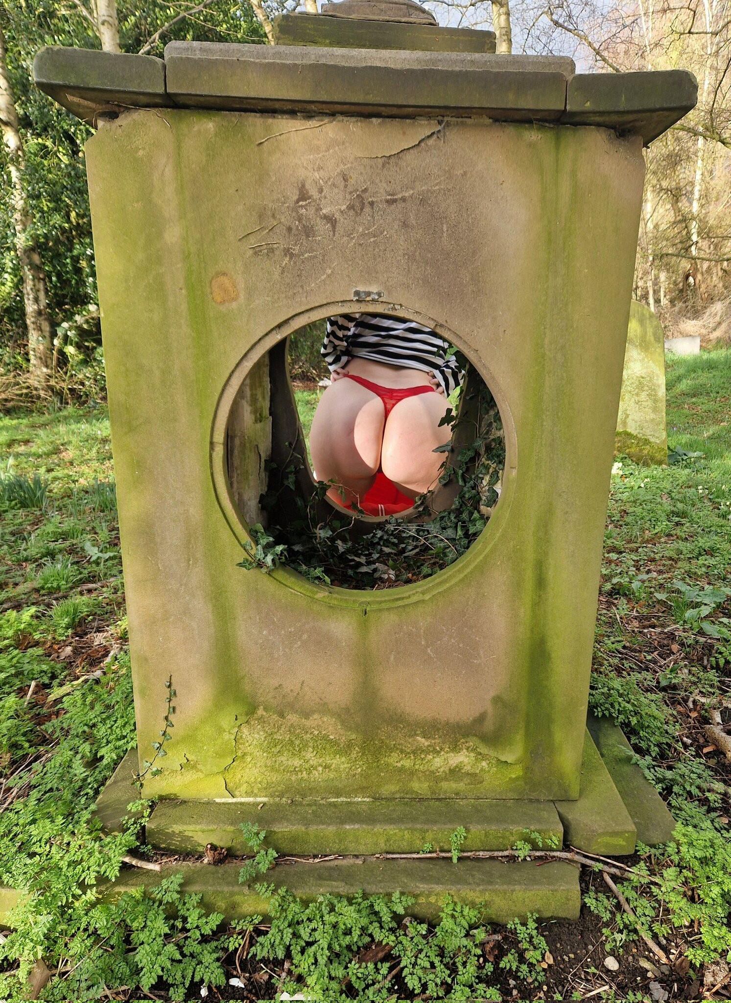 Kat farbenfrohe Haar
