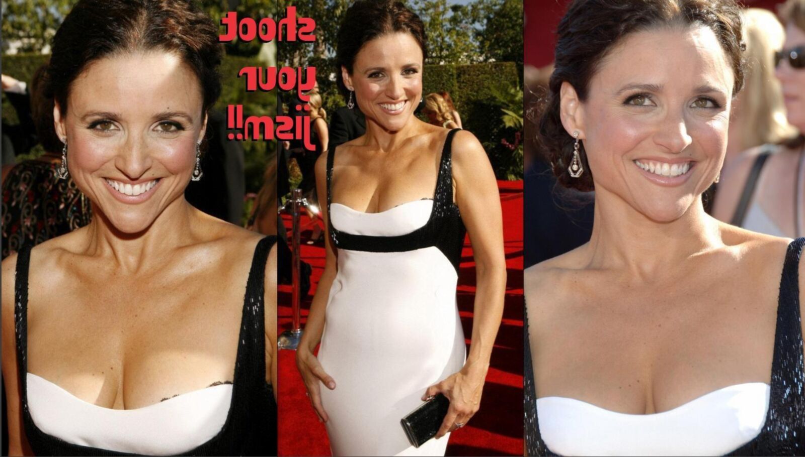 Julia Louis Dreyfus