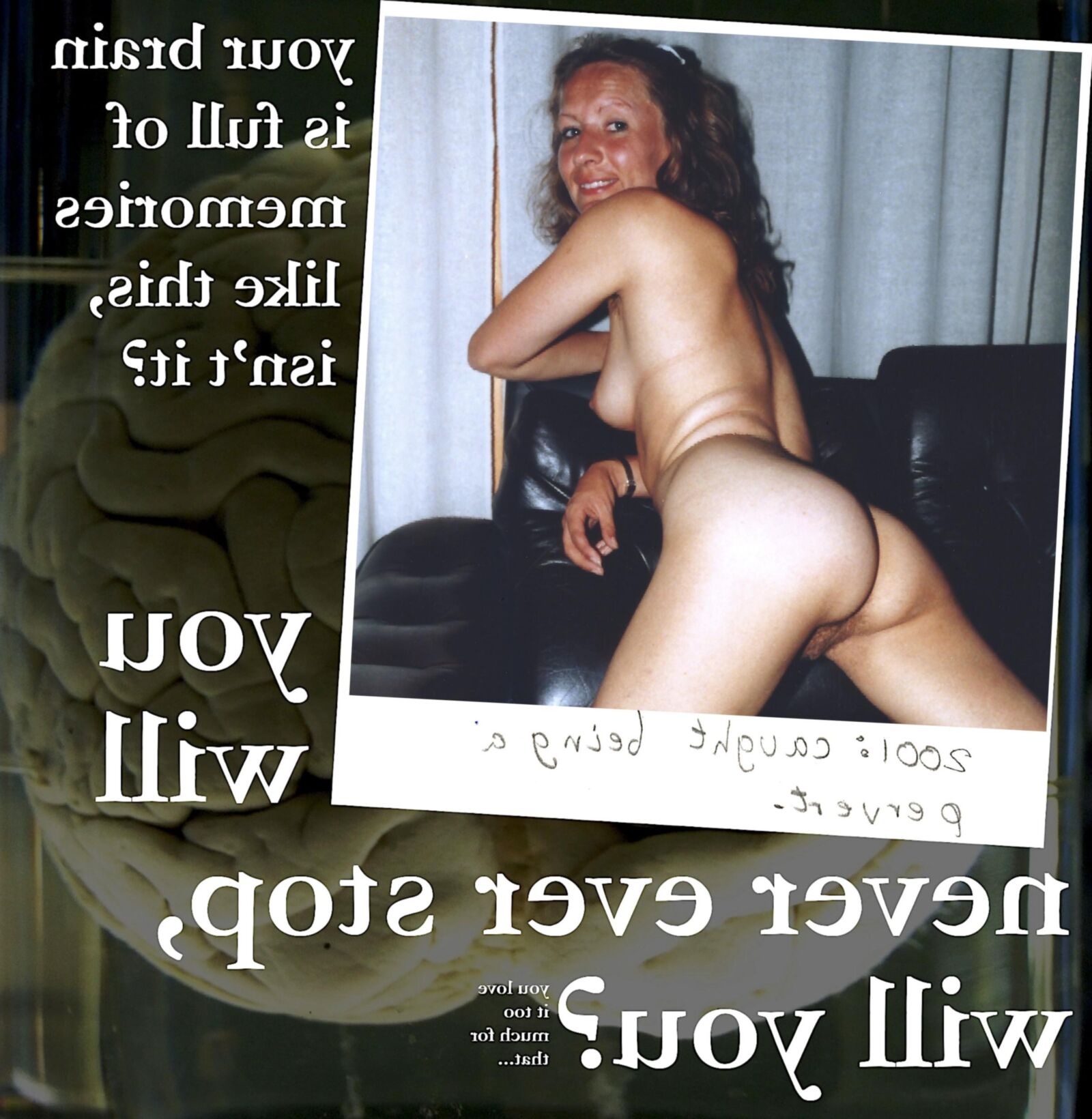 Le porno est pour toujours