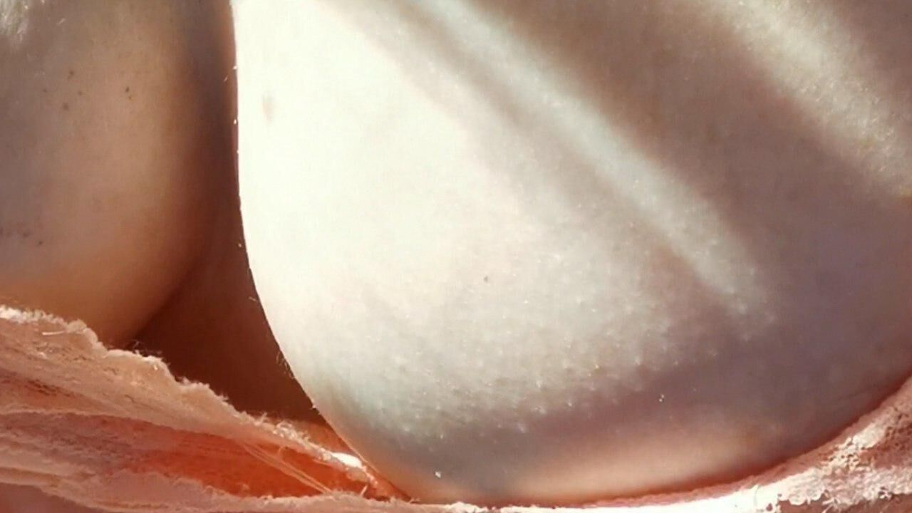 My f sexy milf wants to be a internet whore 