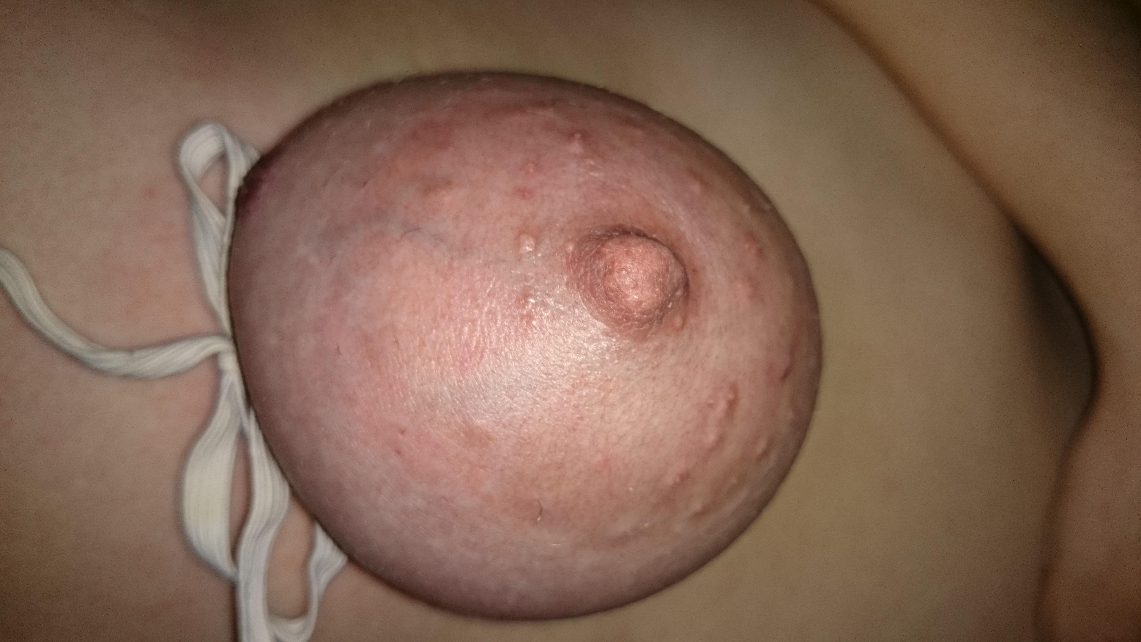 Minha vadia edyta para repassar