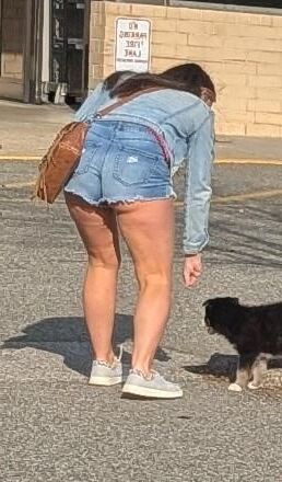 Shopping for milfs