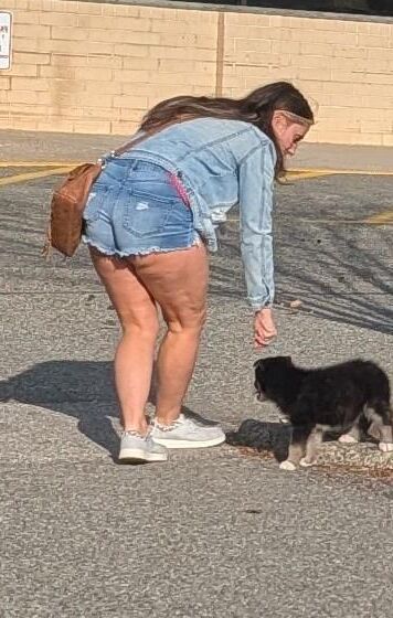 Shopping for milfs