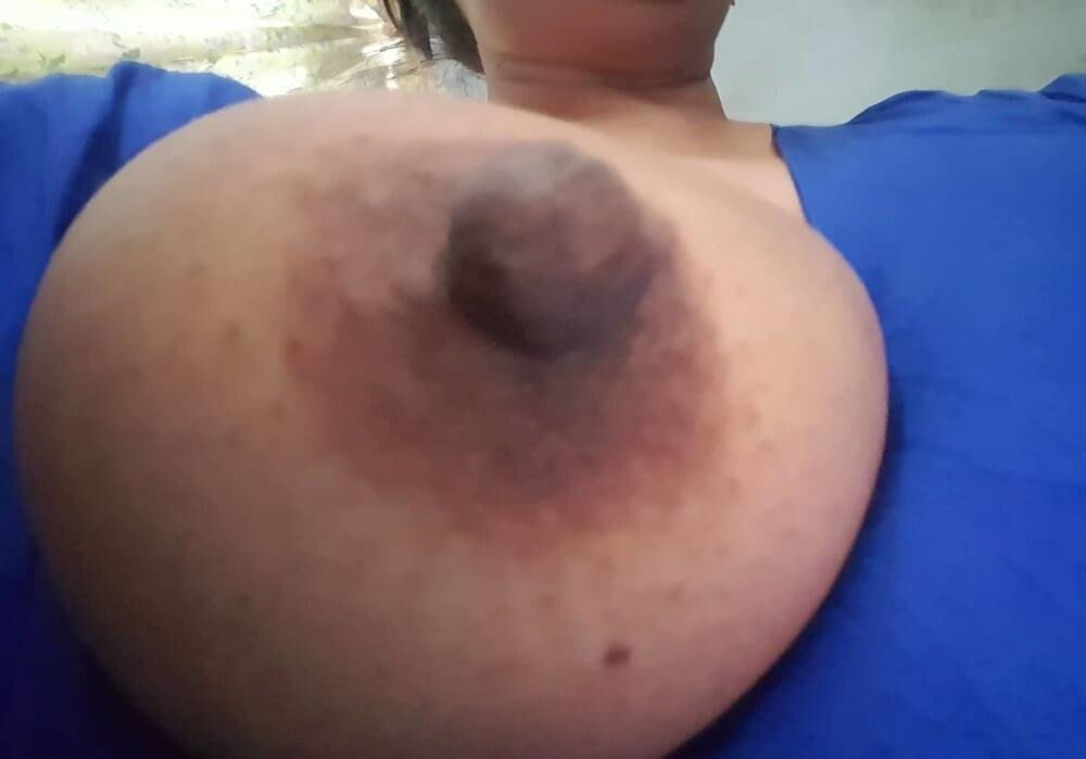 brinda