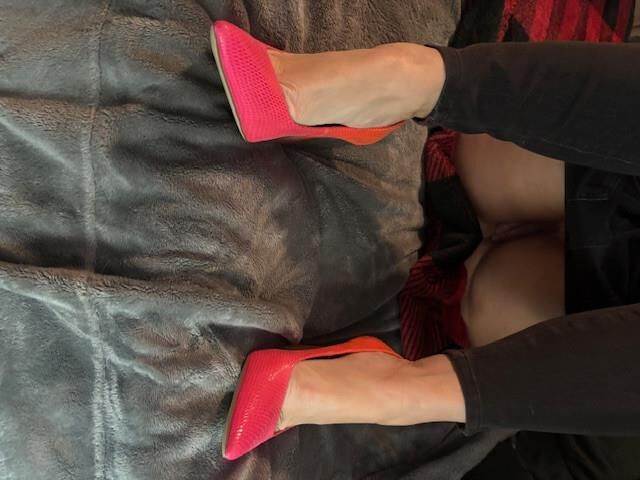 My sexy lawyer wife 