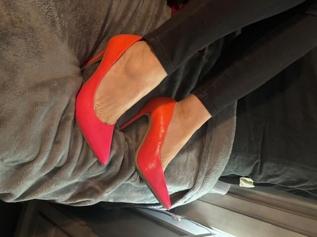 My sexy lawyer wife 