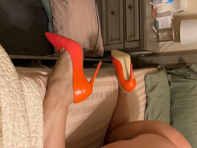 My sexy lawyer wife 