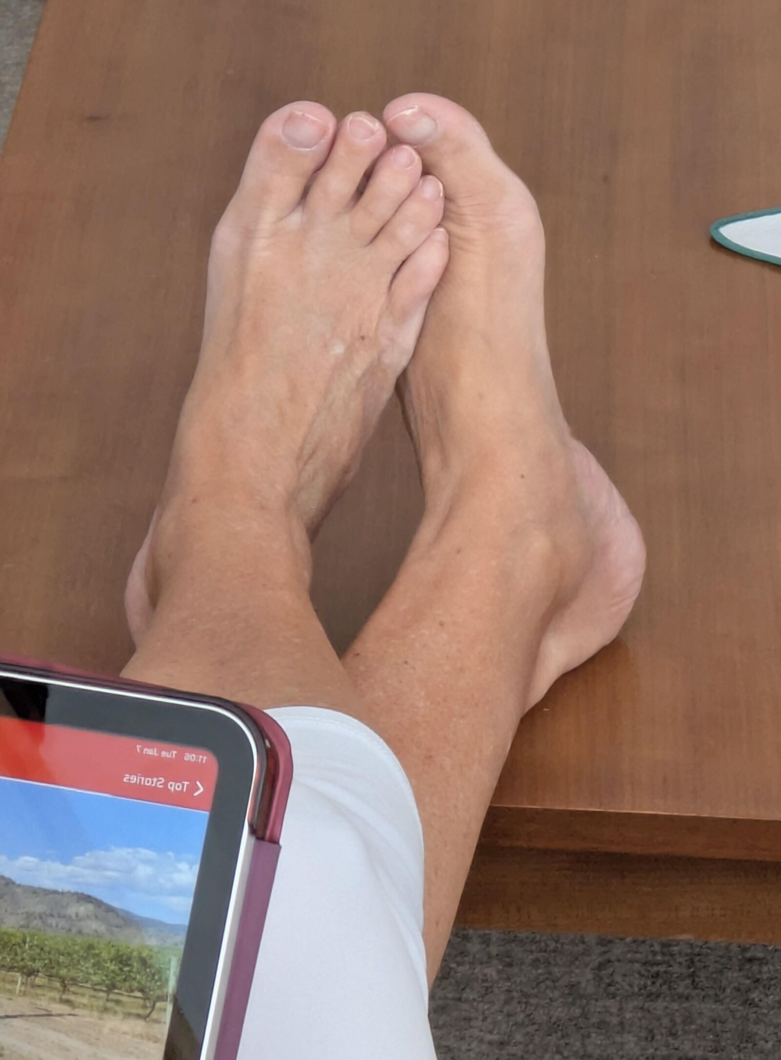 Pieds