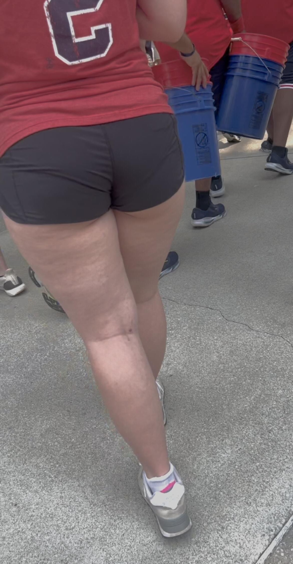 Shorts candides pawgs