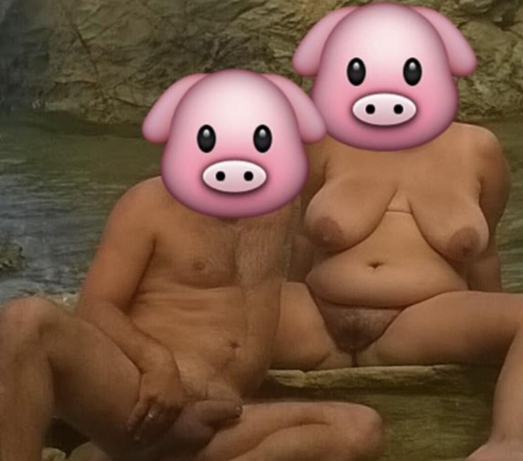 Крудчатая пара