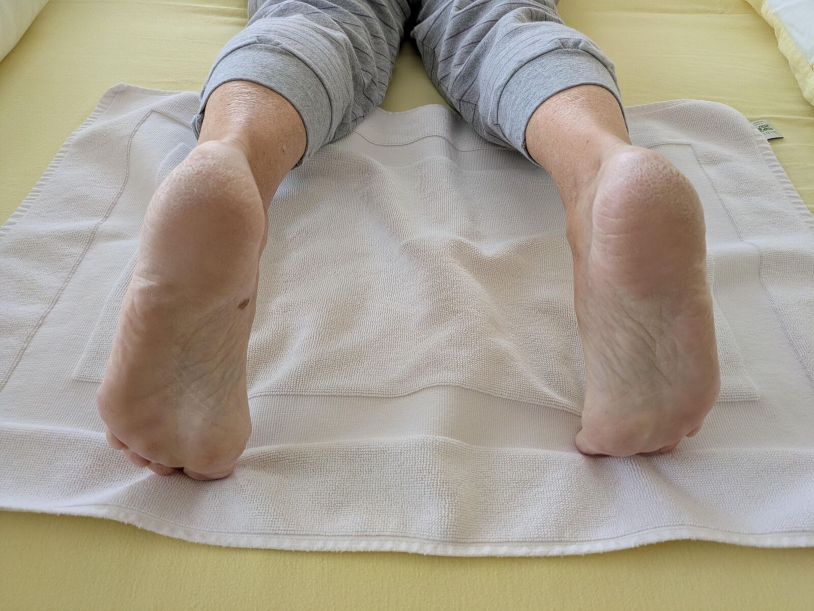 Pieds