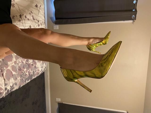 My sexy lawyer wife 