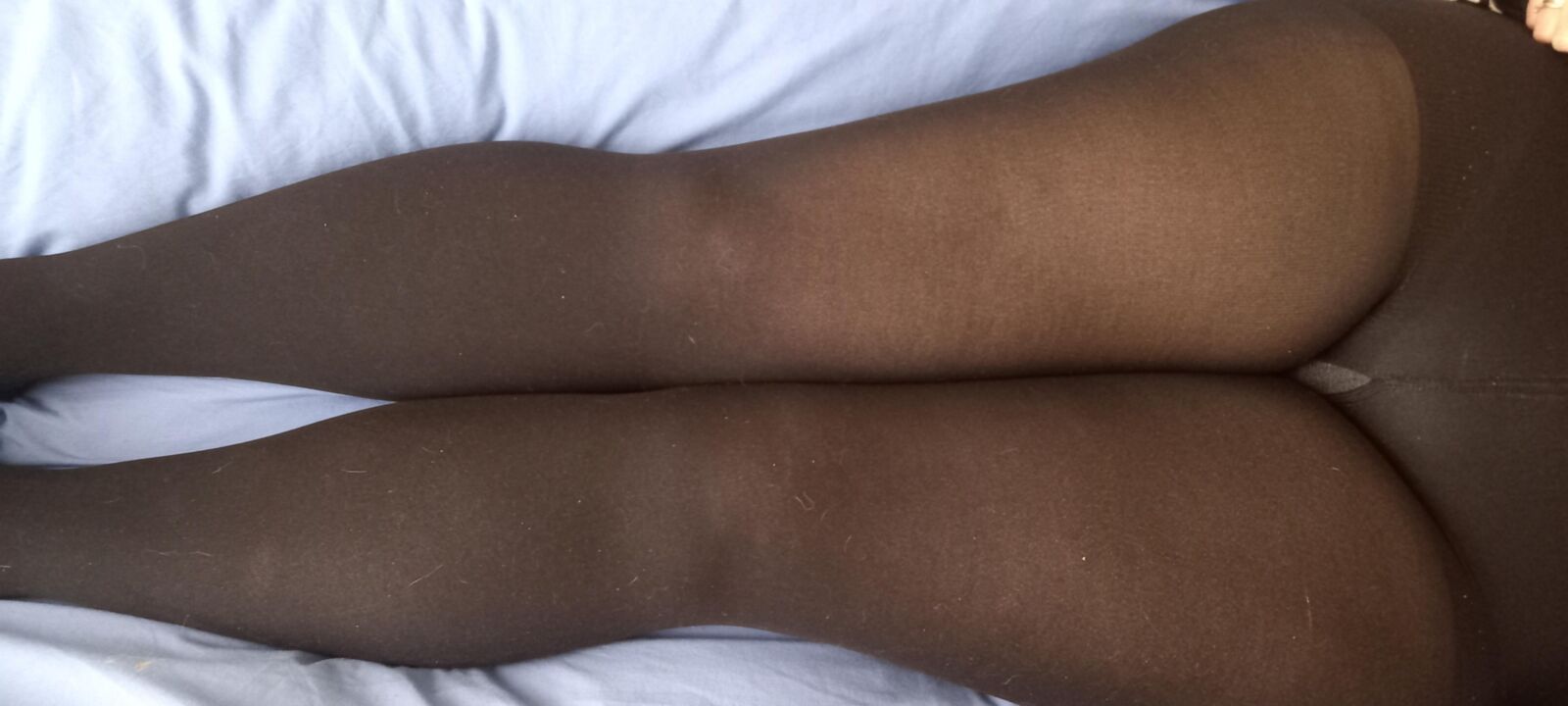 Esposa del Reino Unido opaco pantimedias upskirt