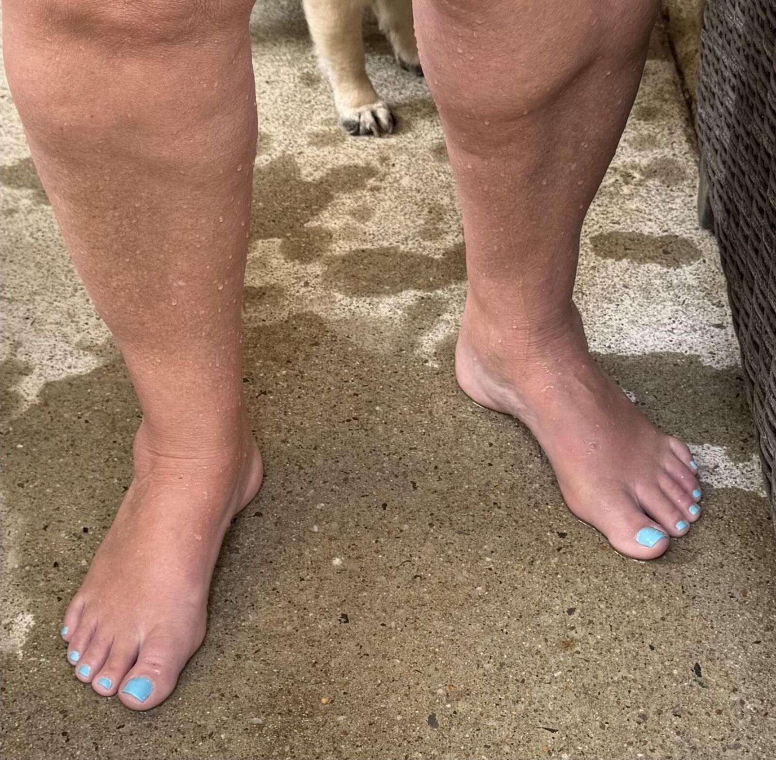 Dia da piscina