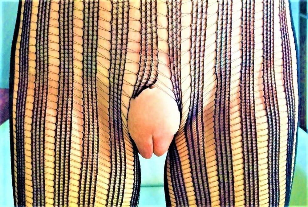Gräfin Black Mesh mit Kamelzehen Muschi