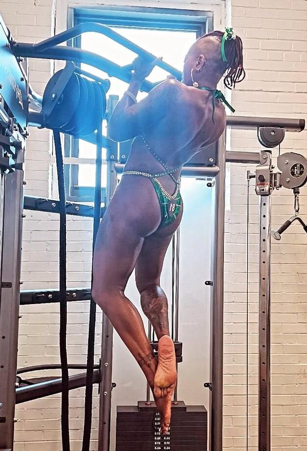 Gata sexy draft fitness