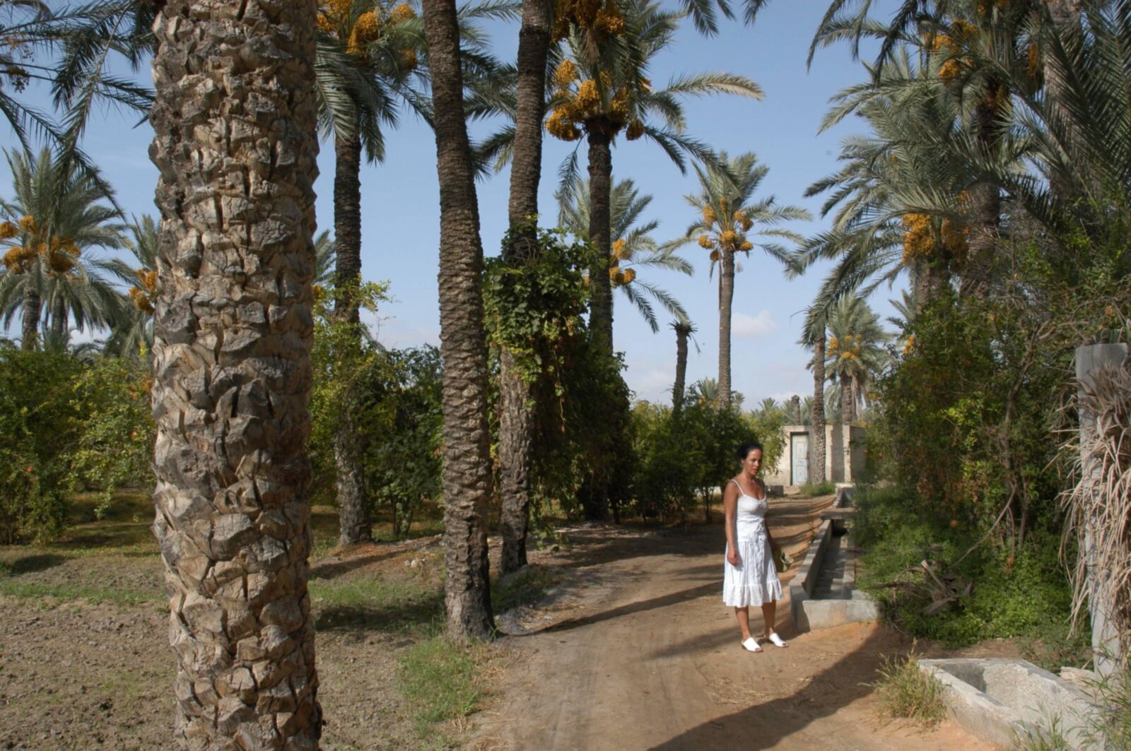 Milf Facations Naked em Marrocos