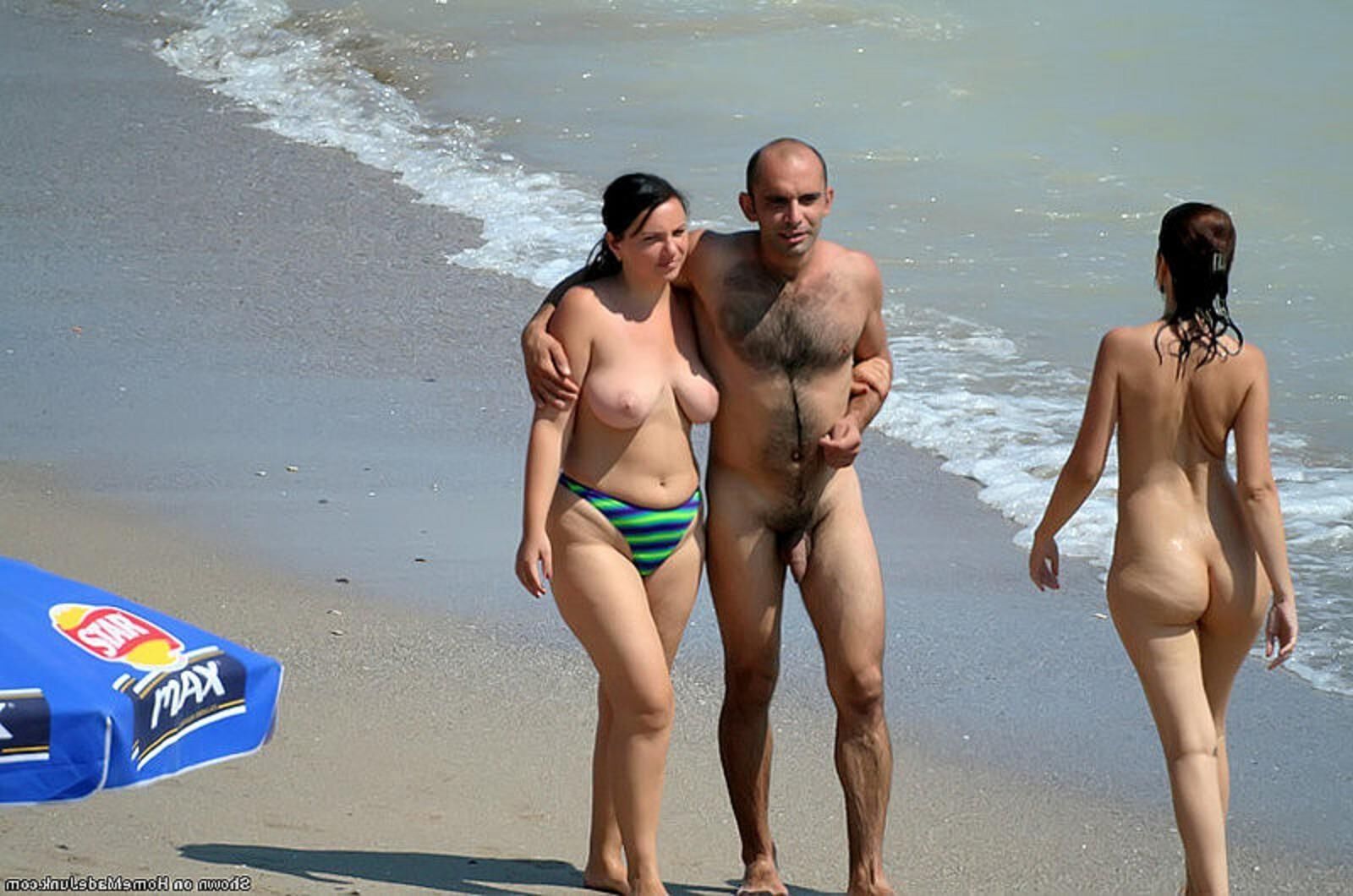 Cadelas na praia
