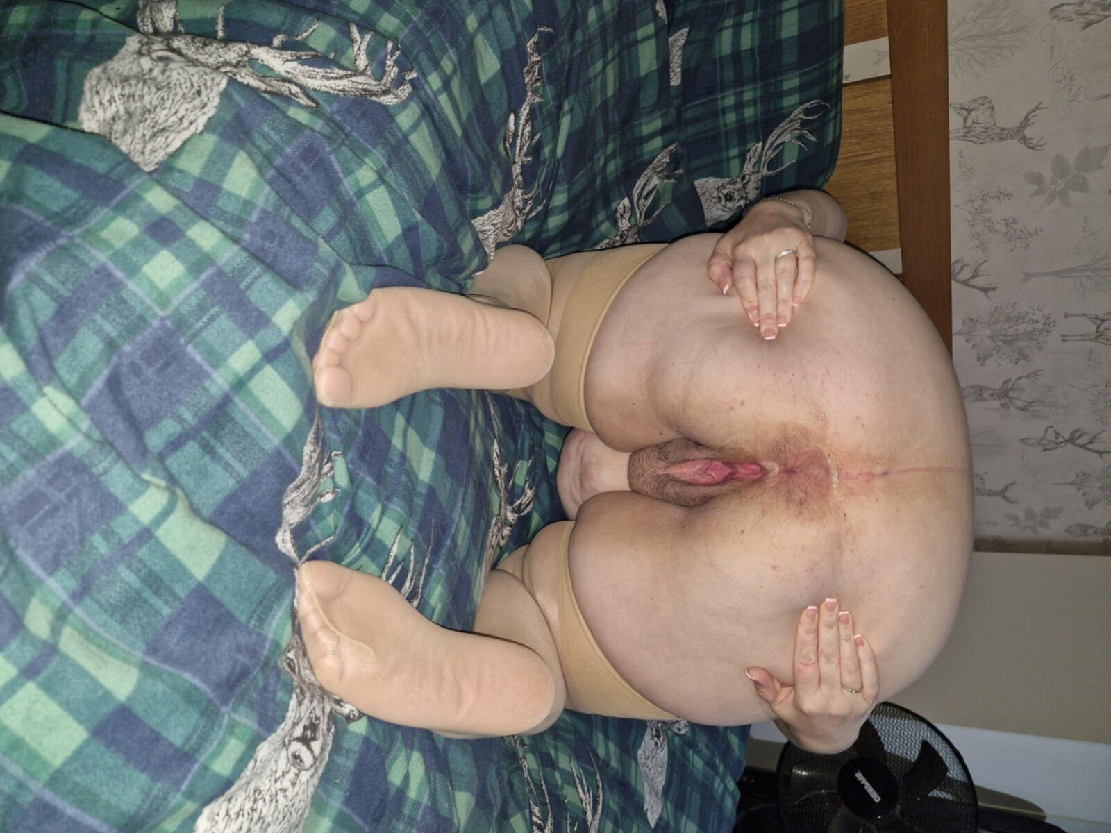 Corpos de mulheres gordas expostas