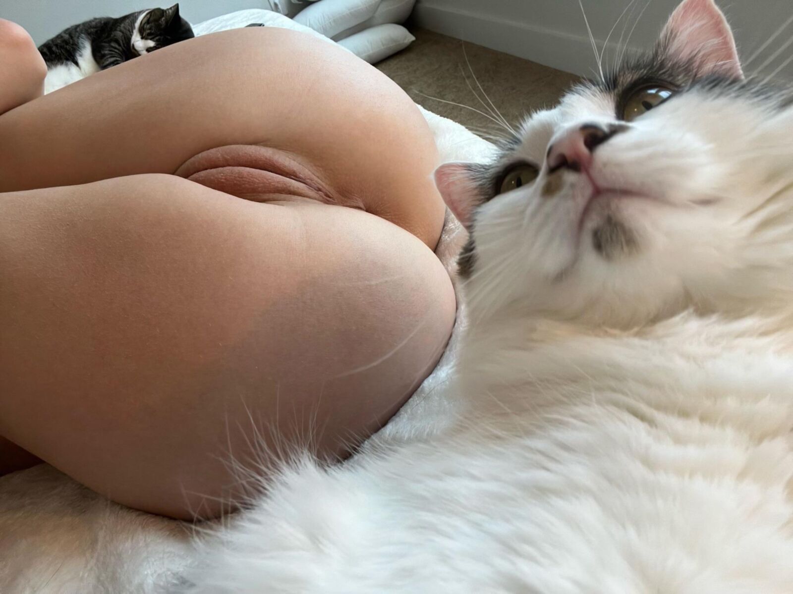 LOL (WTF)