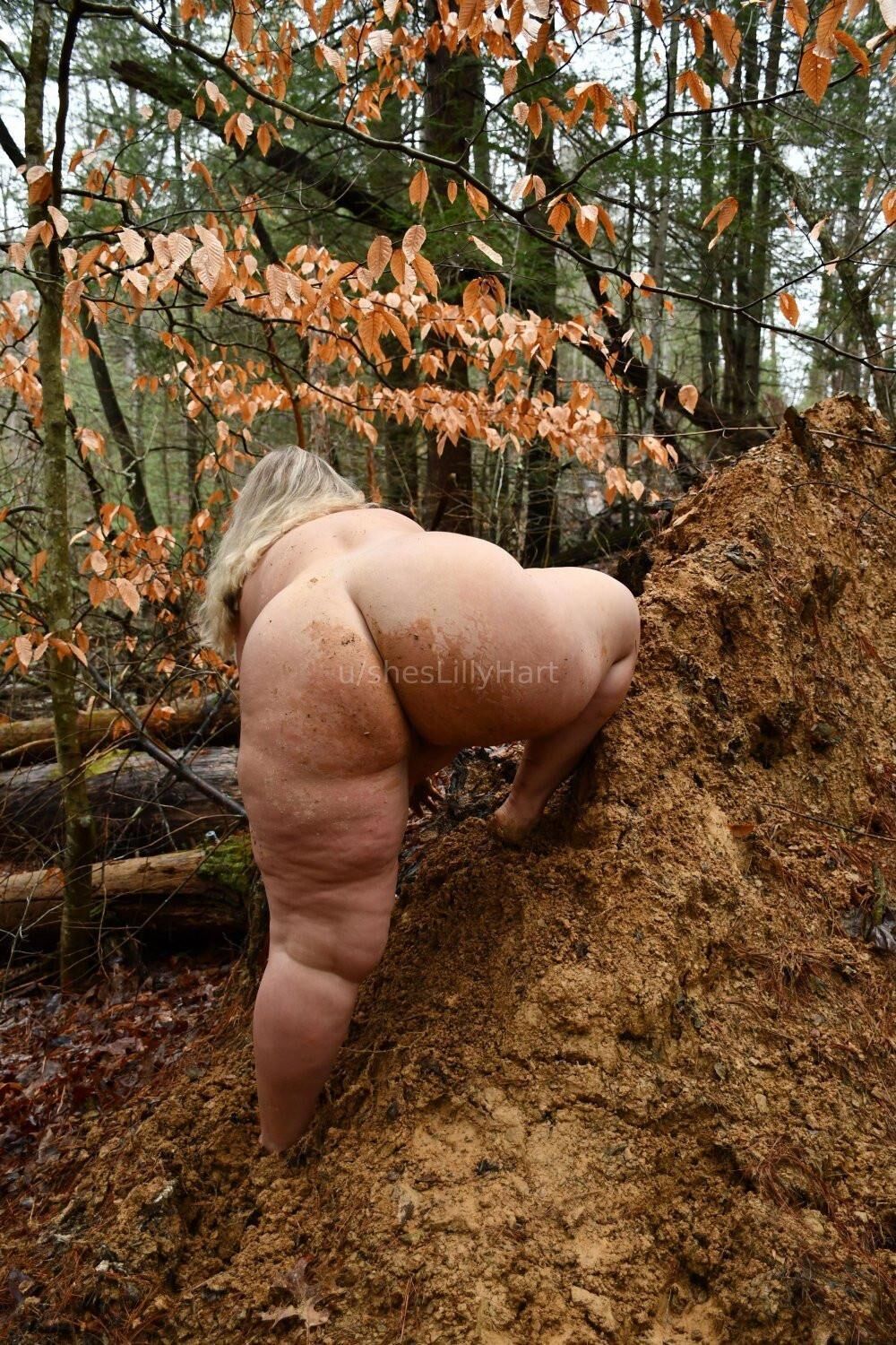 Lírio